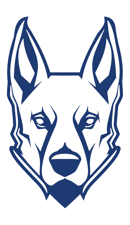 NikoSystems logo